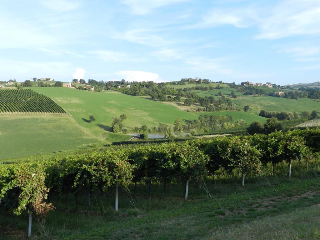 Ca' Dei Sogni By Opera02 Otel Castelvetro di Modena Dış mekan fotoğraf